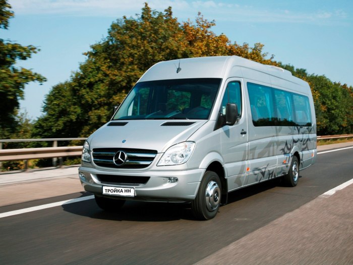 Mercedes-Benz Sprinter Travel 55