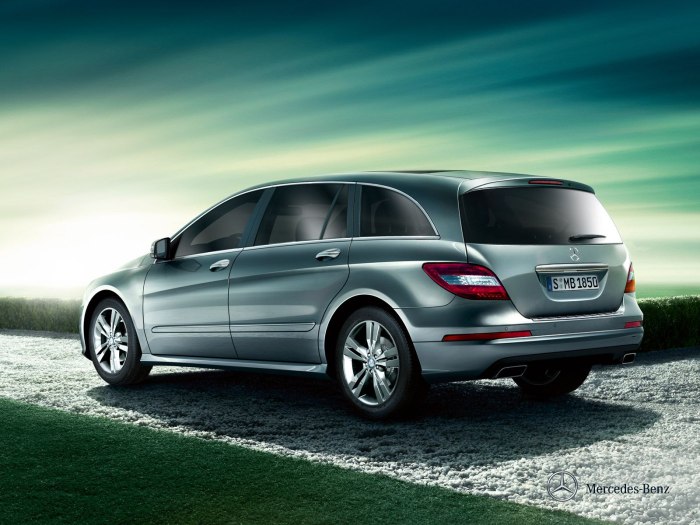 Mercedes Benz r class 2020