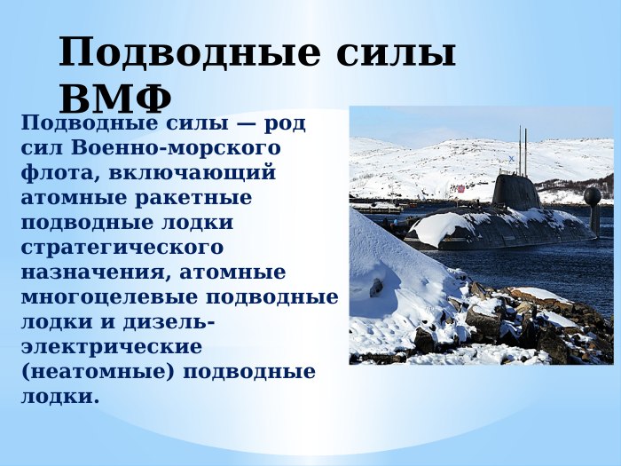 Подводные силы ВМФ России кратко