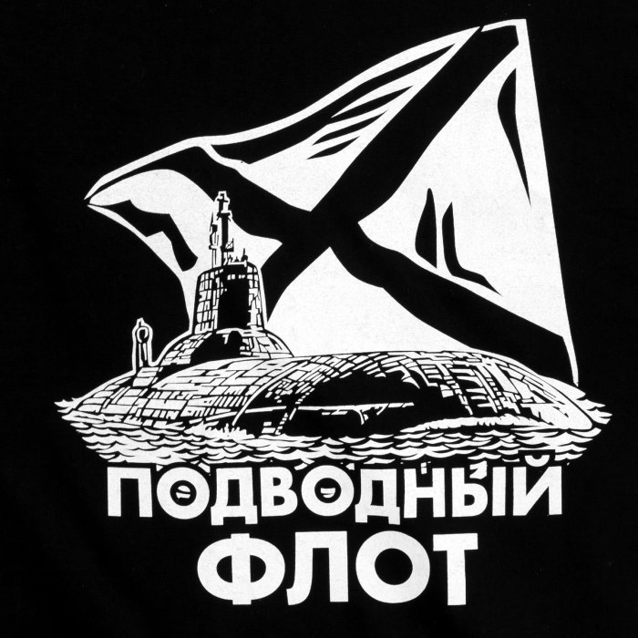 Северный флот России эмблема