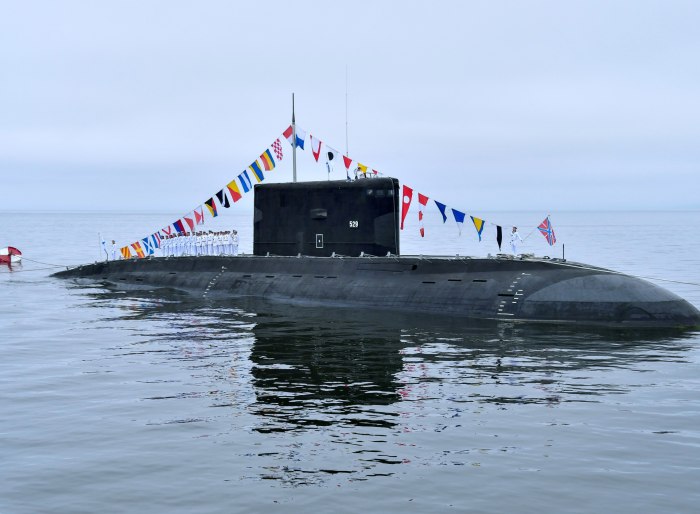 Подводная лодка палтус 877