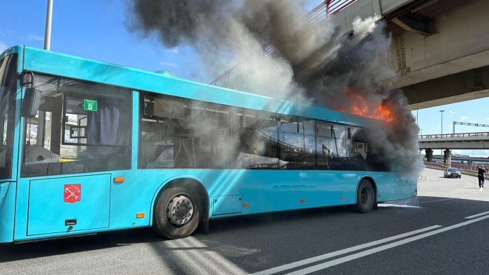 Лазурные автотусы