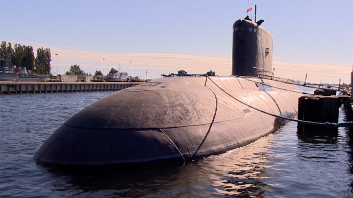 ВМФ Польши