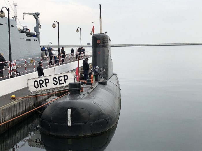 Подводные лодки польши