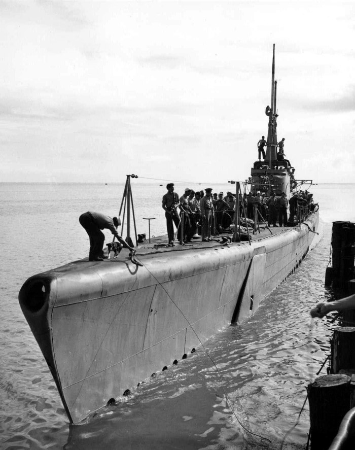 USS Capelin (SS-289)