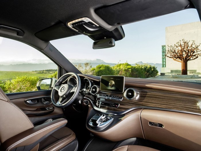 Mercedes-Benz v-class 250