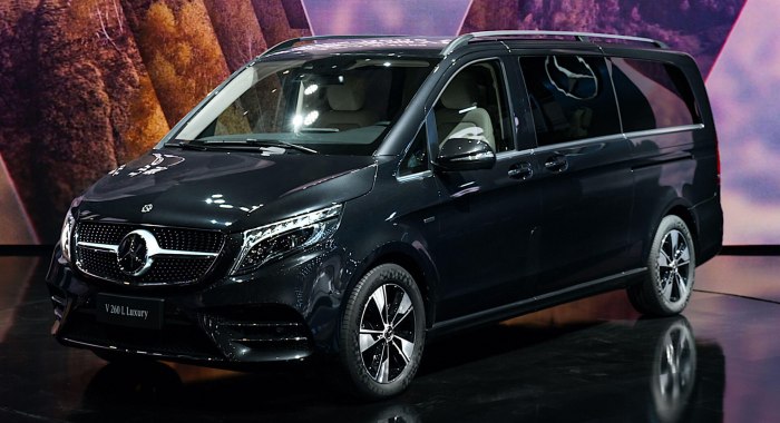 Mercedes Benz Viano 2021