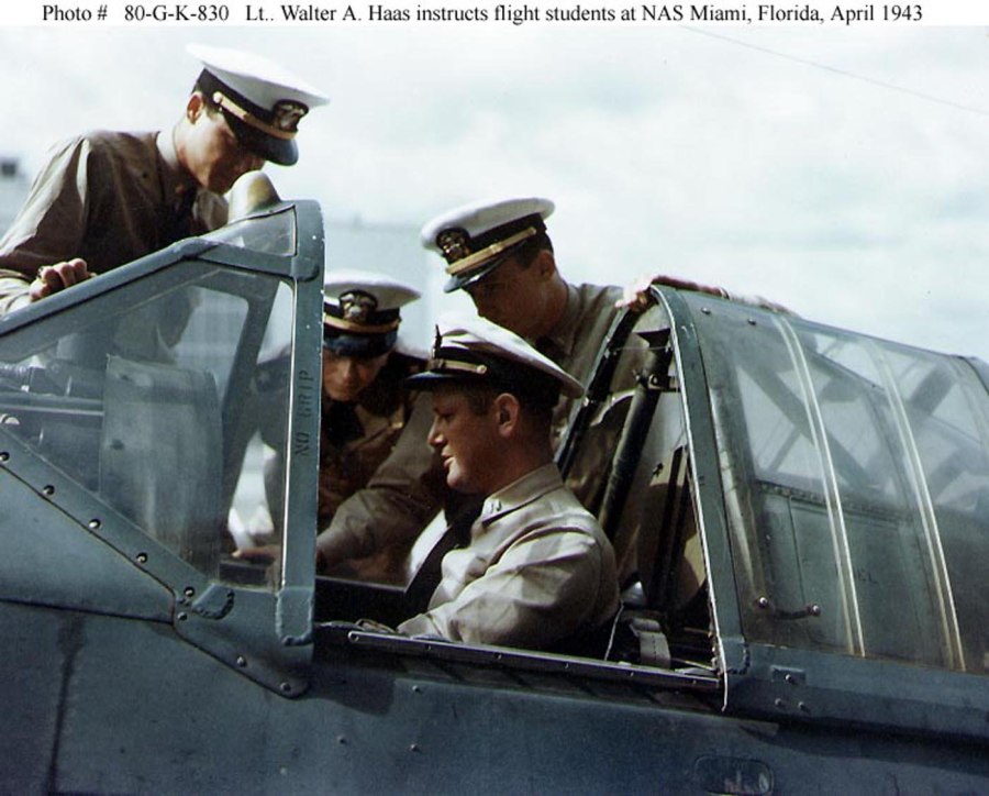 F2a2 Buffalo
