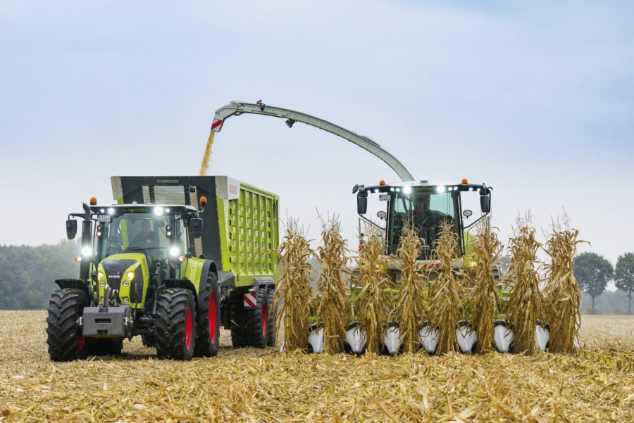 Уборка кукурузы на силос (CLAAS, жатка Orbis 600)