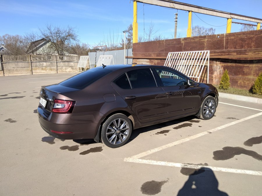 Skoda Octavia III (a7) оптика