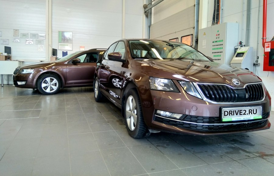 Skoda Octavia коричневая
