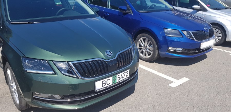 Skoda Octavia a8 зеленая 2021