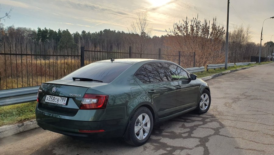 Skoda Octavia a8 зеленая