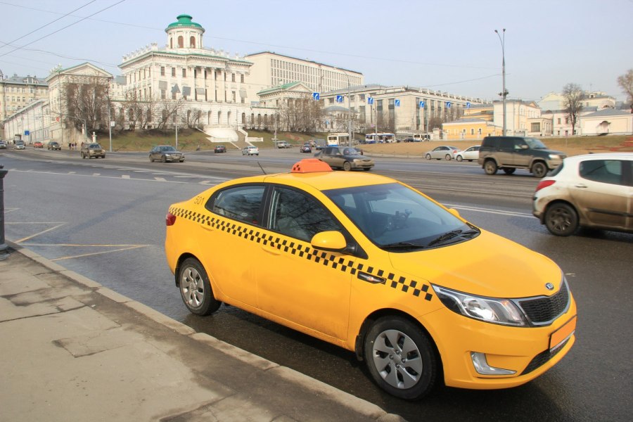 Такса в машине