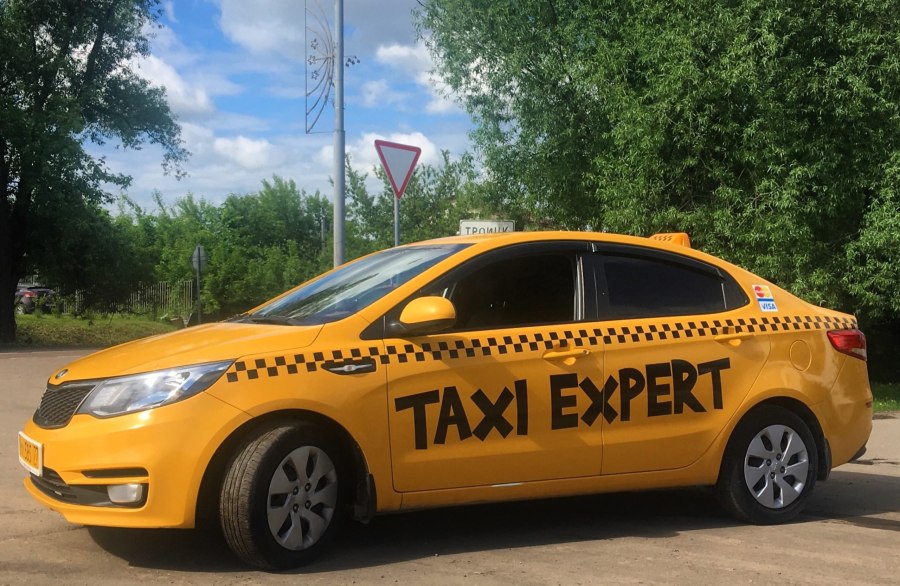 Такса в машине
