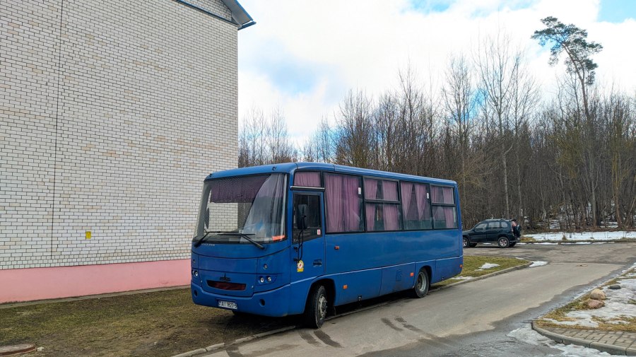 МАЗ 256 купить бу