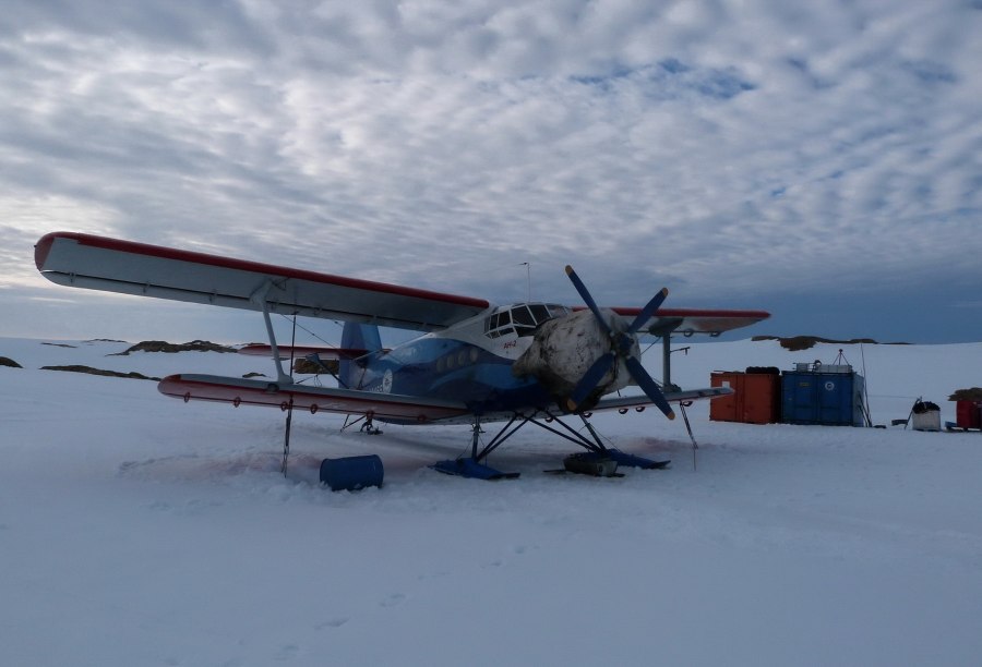 АН-2 Полярный