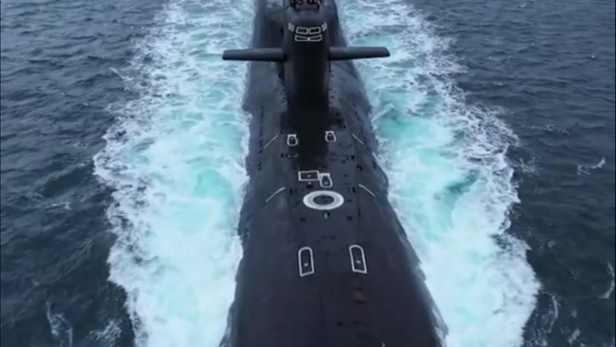 Киты в Средиземном море в Турции
