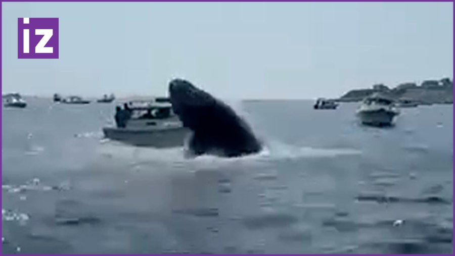 Подлодка Индонезии