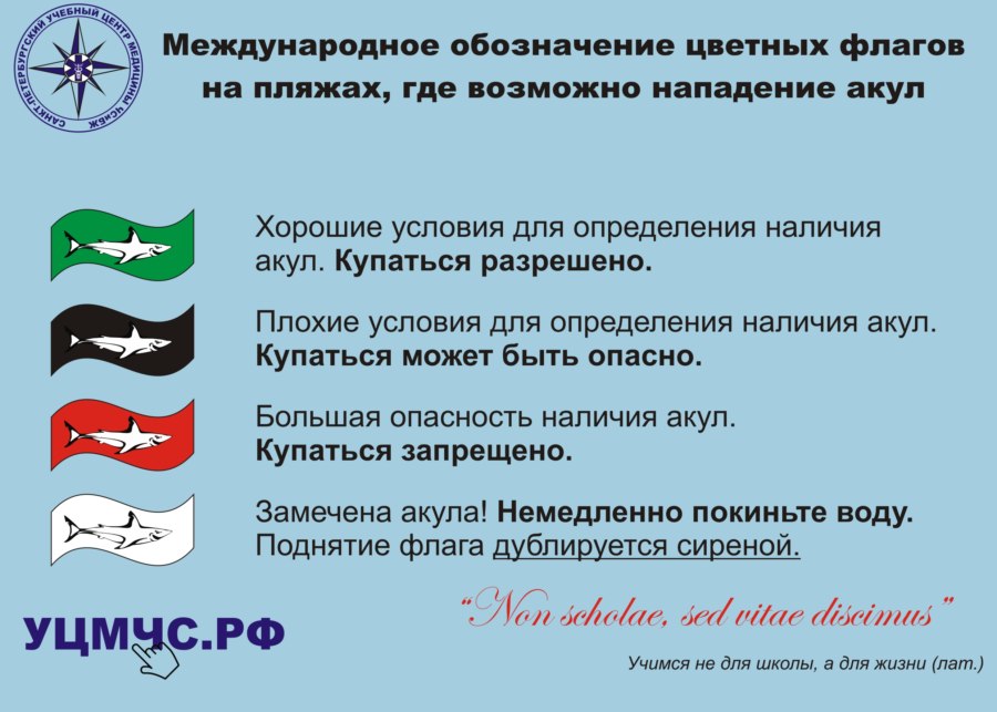 Флаг главнокомандующего ВМФ РФ