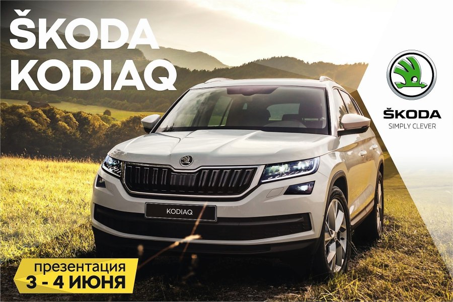 Skoda simply Clever фото машины