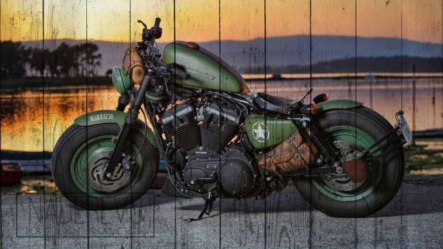 Harley Davidson Sportster 883 Iron