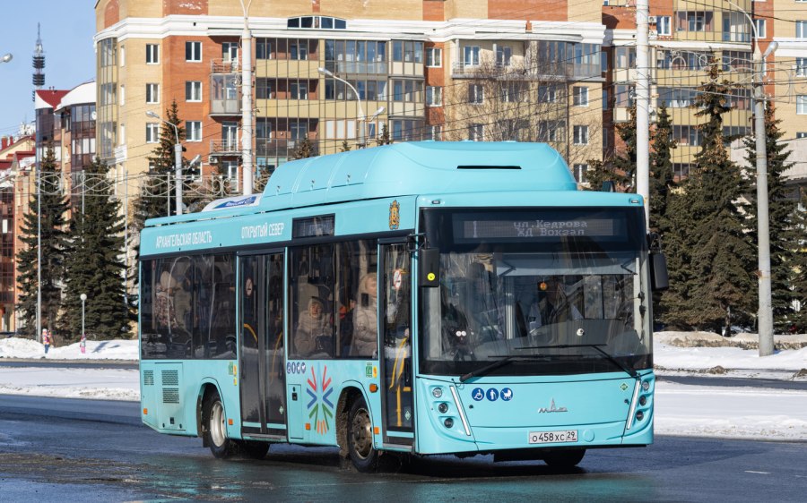 Автобус 206