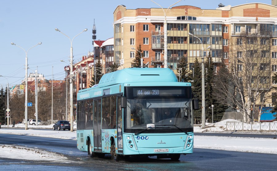 Наши автобусы МАЗ