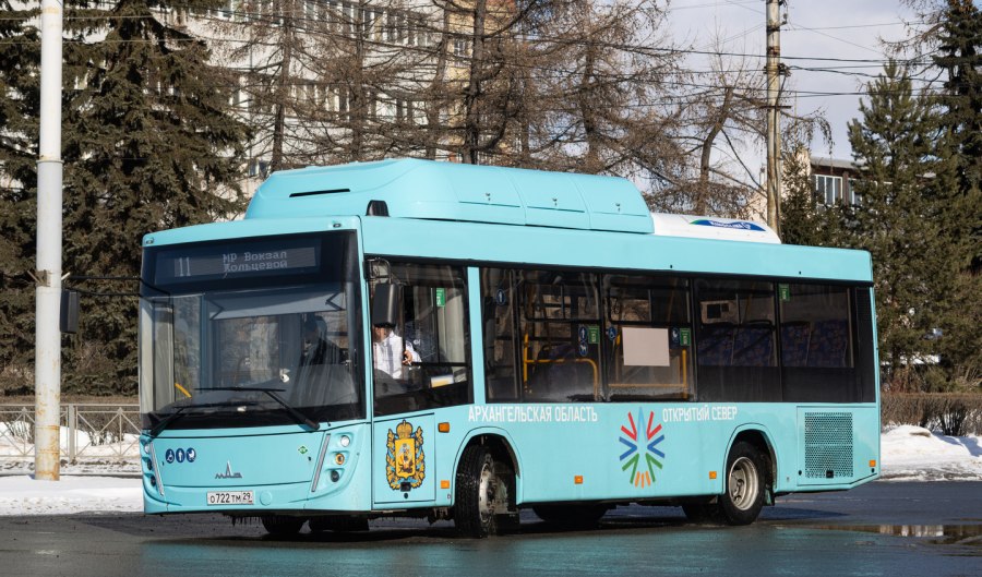 МАЗ 206 СПБ
