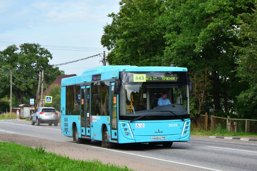 МАЗ-206 автобус защита дня