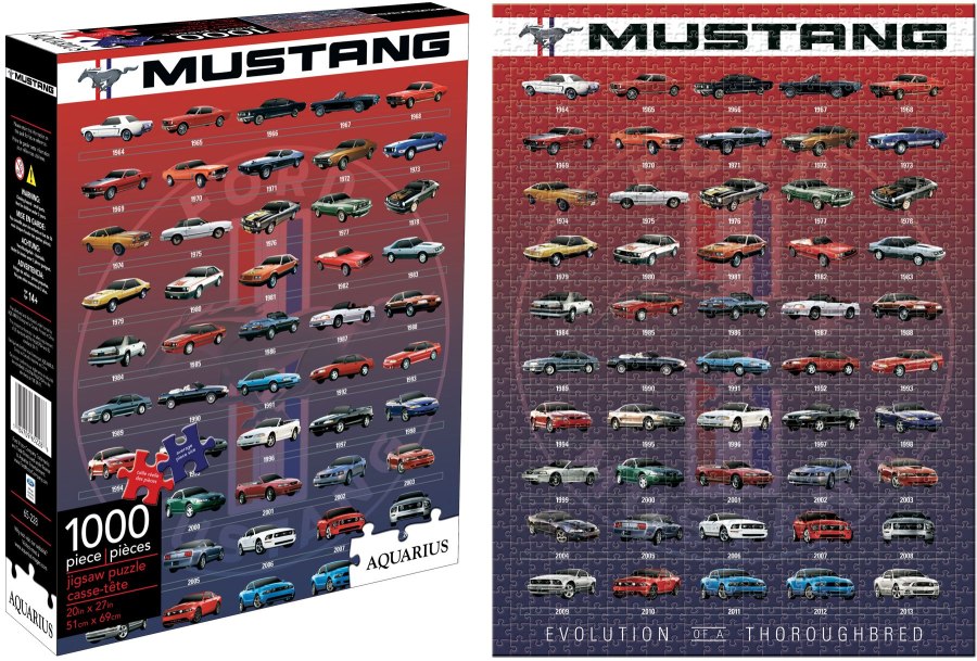 Ford Mustang Evolution