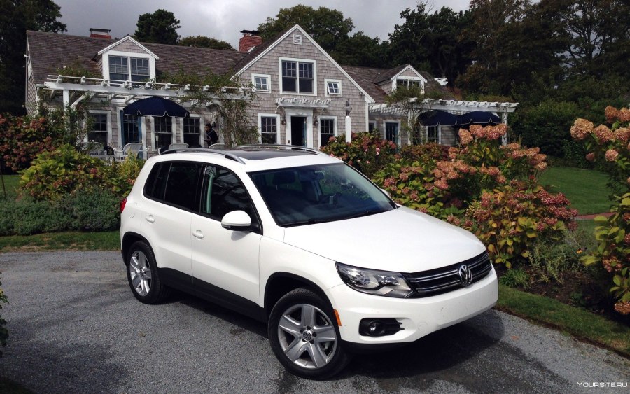 Volkswagen Tiguan 2014 на природе