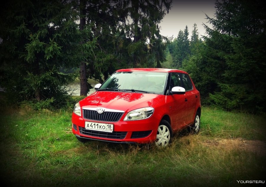 Skoda Fabia 2009 вишнёвая