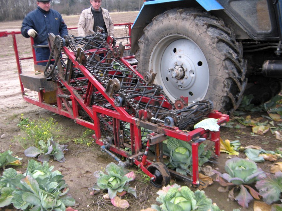 Комбайн капустоуборочный МКК-2