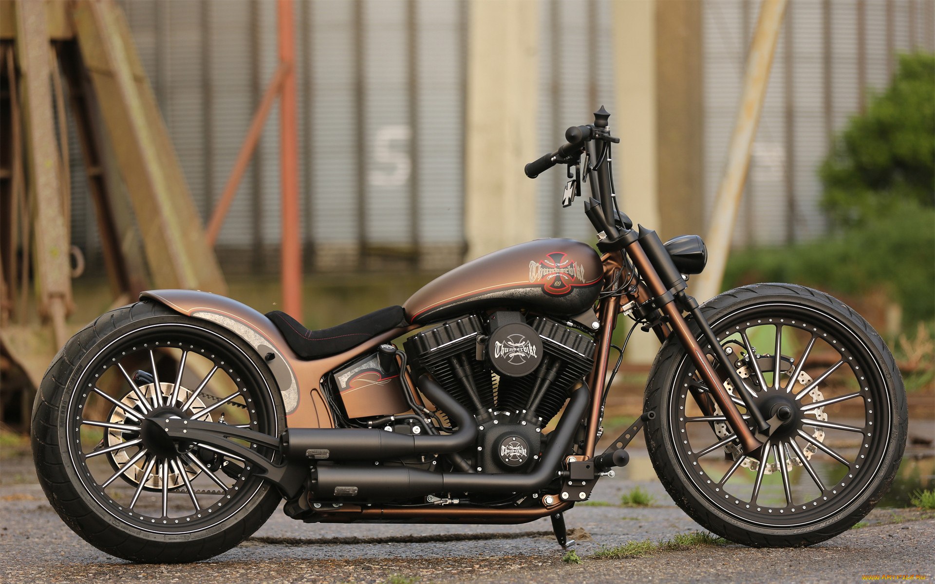 Harley Softail Bobber