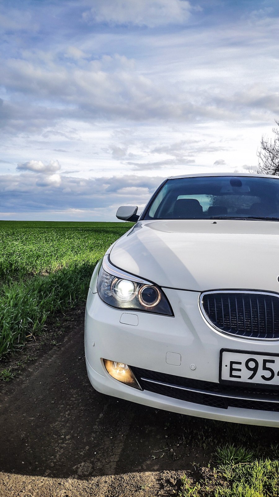 BMW 5 Лисичка