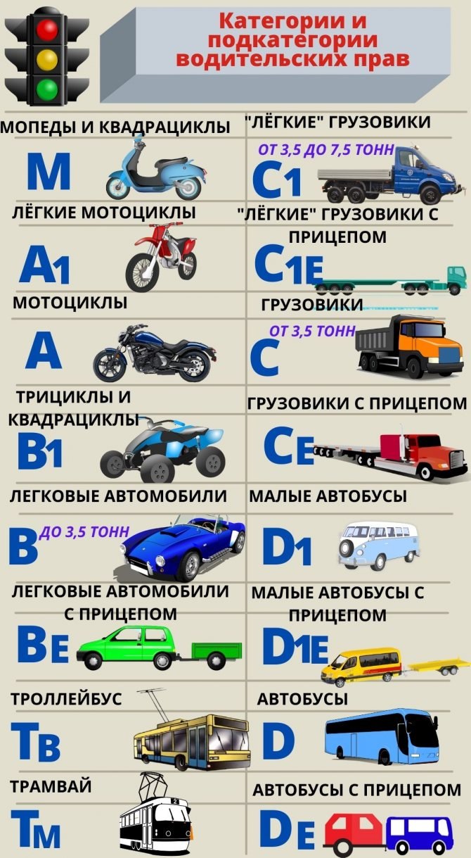 Категории водительских прав с расшифровкой b,b1,m