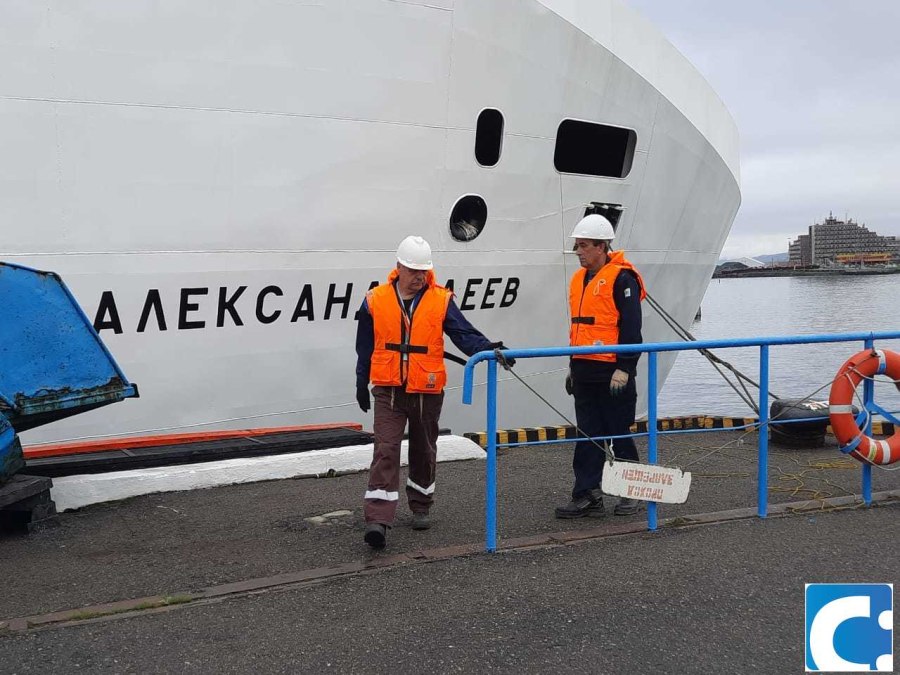 Зарифа Алиева судно