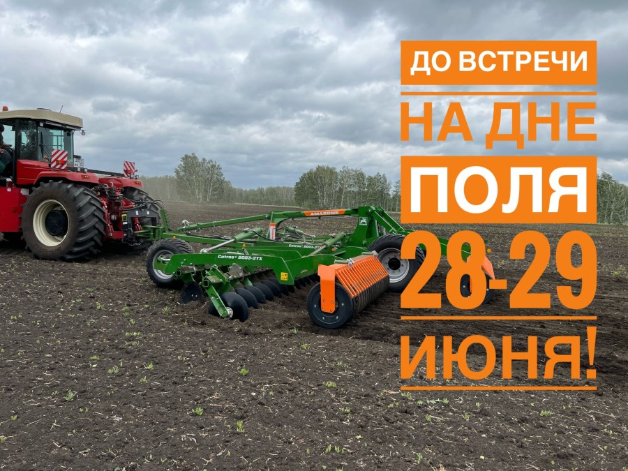 День поля
