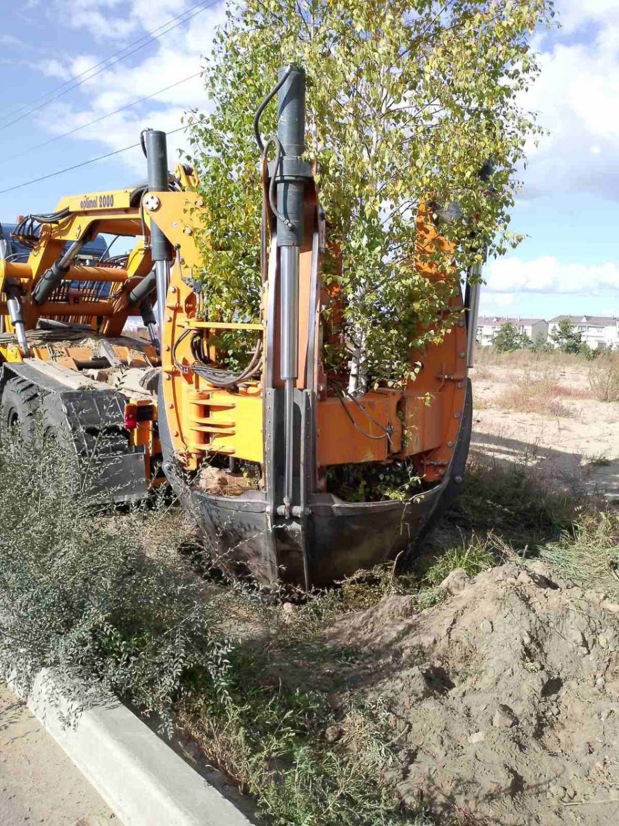 Улуғ Ватан уруш қатнашчилари