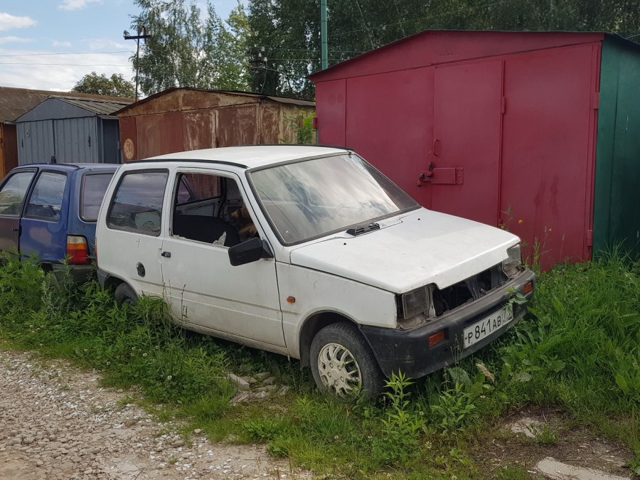 Лада 449 Ока