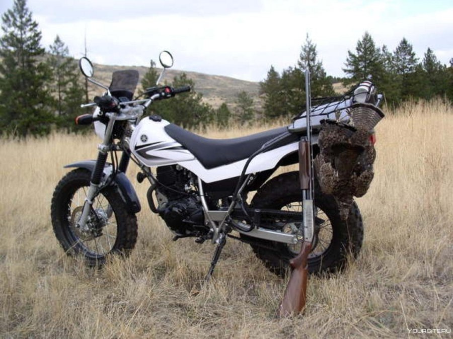 Yamaha TW