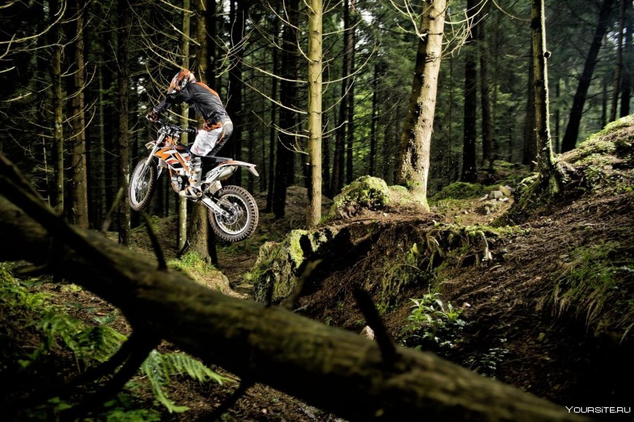 Enduro мотоцикл в лесу