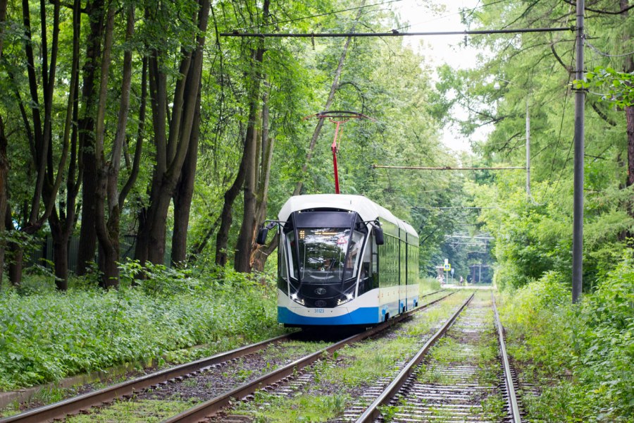 71-931m «Витязь-м» траинз