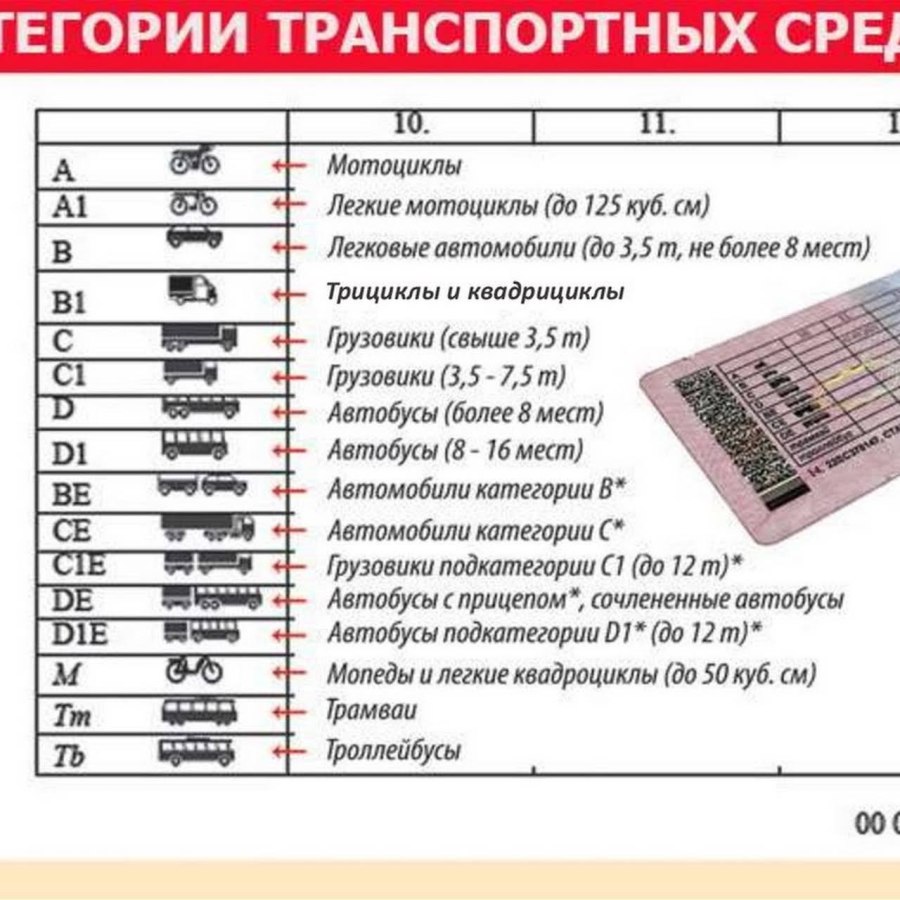 Категории водительских прав с расшифровкой b,b1,m