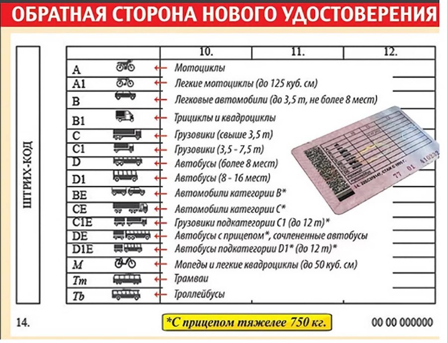 Расшифровка категорий водительского удостоверения 2022