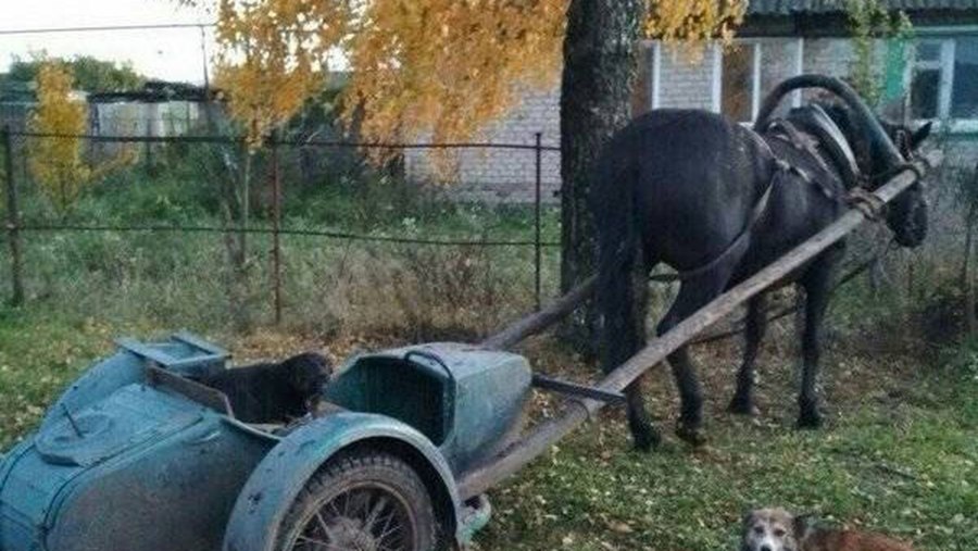 Лошадь запряженная в телегу