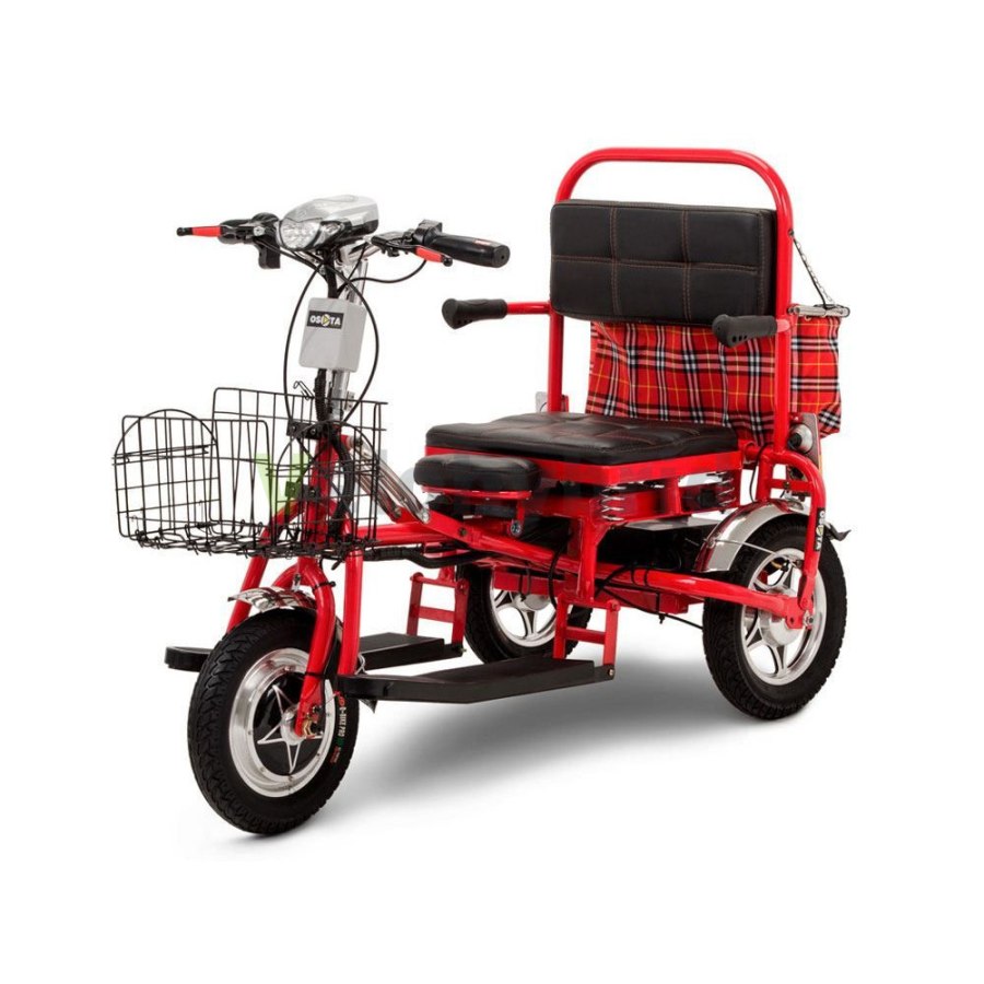 Электротрицикл Transporter 600w 48v