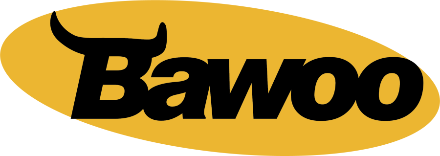 Мини погрузчик Bawoo bsl400