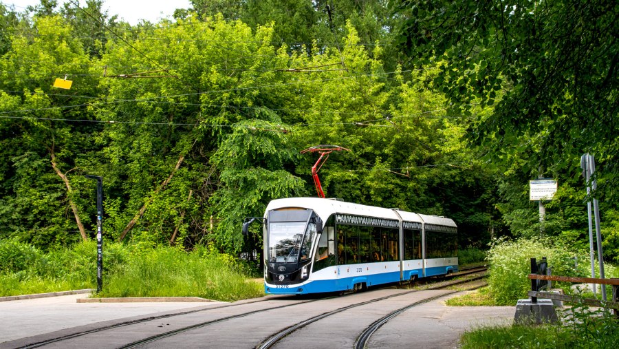 Витязь Москва 2021 фото